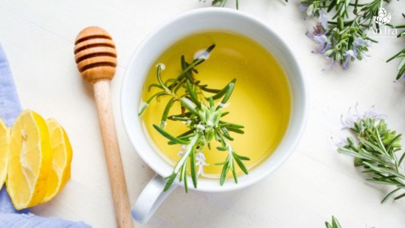 7 lợi ích tuyệt vời của trà hương thảo 